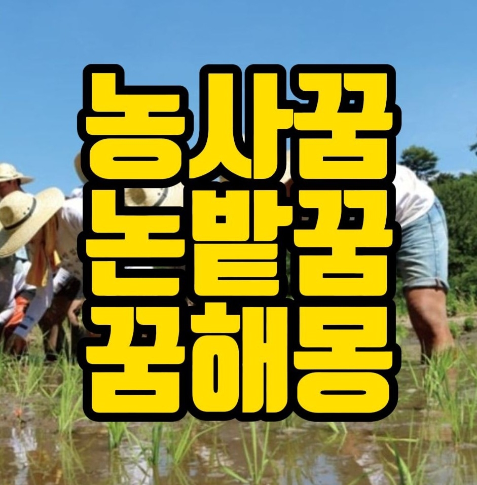  [꿈해몽] 논밭에서일하는꿈, 농사짓는꿈, 벼베는꿈, 추수하는꿈, 모내기꿈, 논밭을사거나파는꿈, 농사꿈 꿈풀이 30선