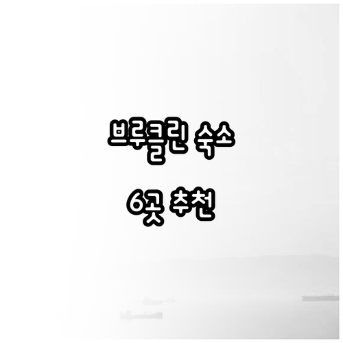 뉴욕 브루클린 숙소 추천 6곳 꼼꼼 비교분석 뉴욕 브루클린 숙소 추천 6곳 꼼꼼