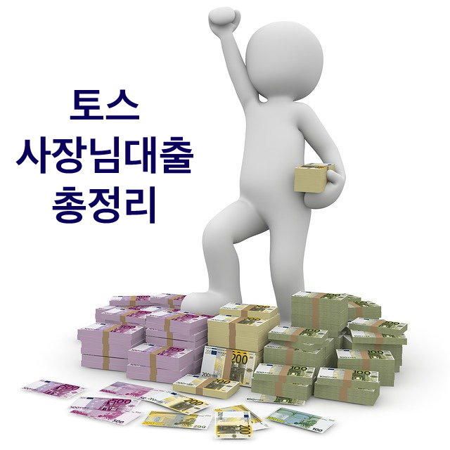  토스 사장님대출 100% 비대면 신청 방법 총정리
