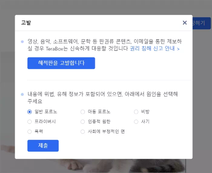 고발 기능