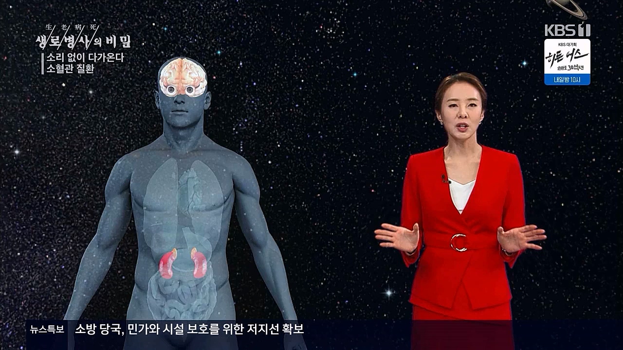 생로병사의비밀.E862.230309p.WANNA.mp4_20230309_194559.417.jpg