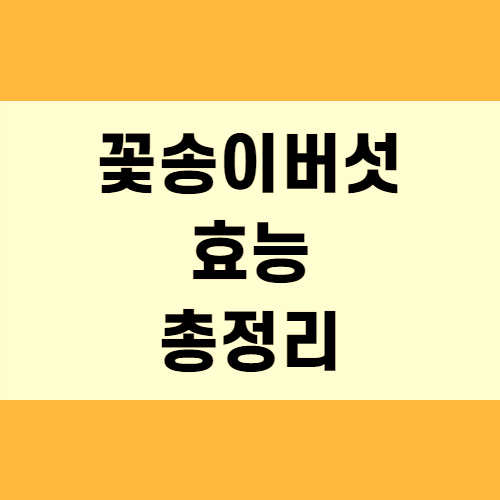  꽃송이버섯 효능 (+꼼꼼정리)