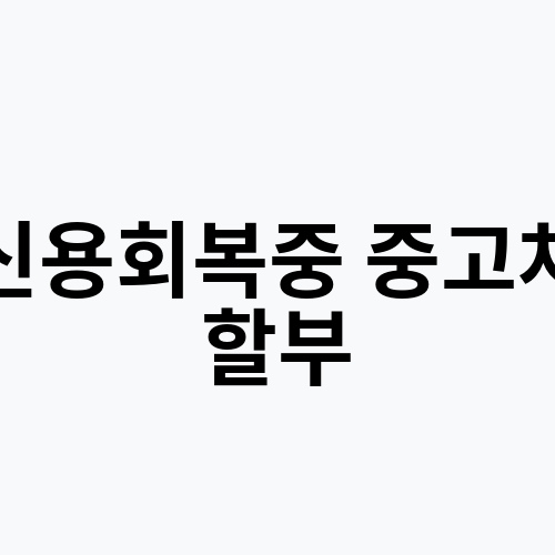 신용회복중 중고차 할부