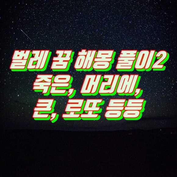  벌레 꿈 해몽 풀이2 (죽은, 머리에, 큰, 로또 등등)