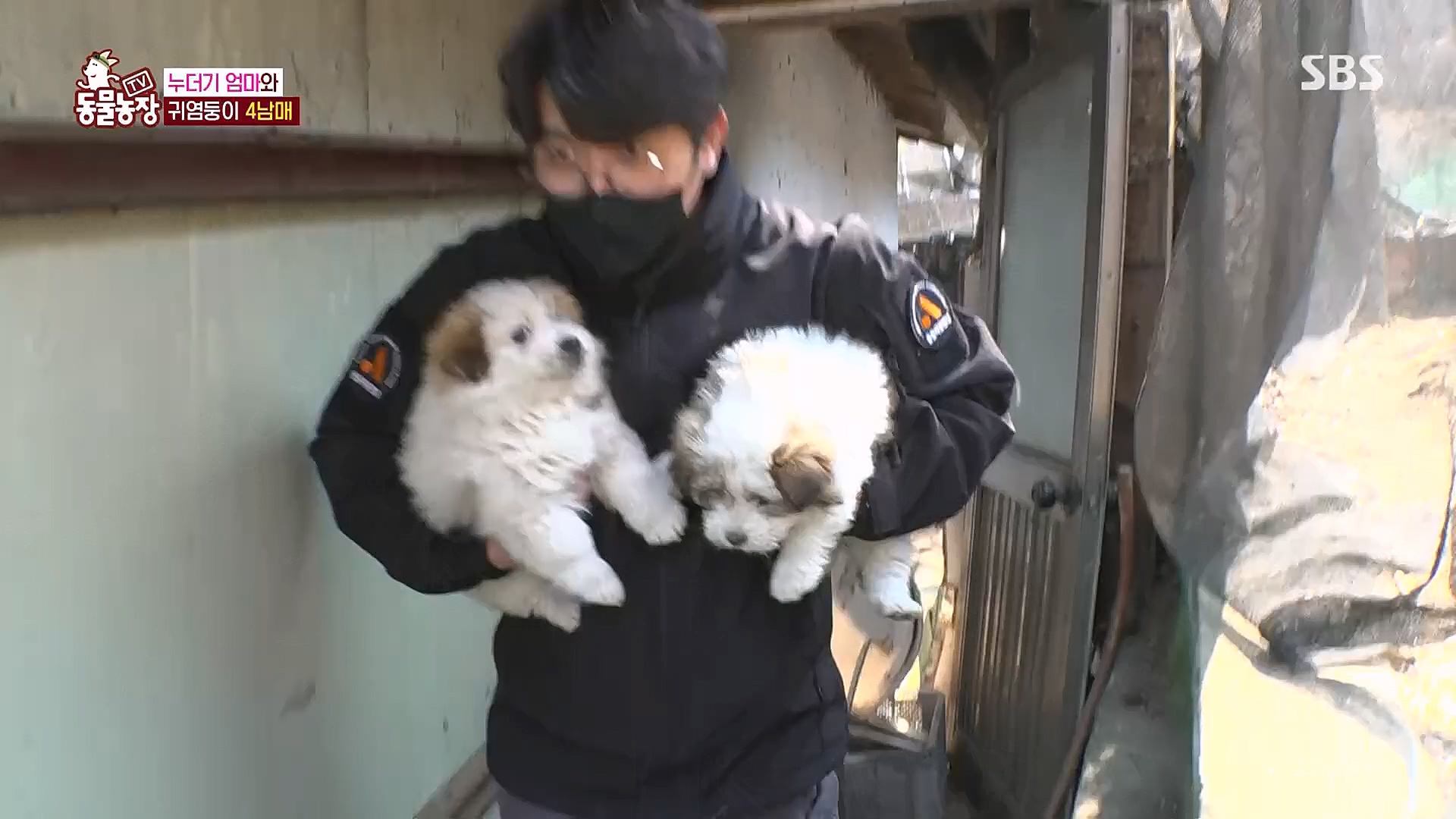 TV 동물농장.E1113.230326p.H264-F1RST.mp4_20230326_172520.103.jpg