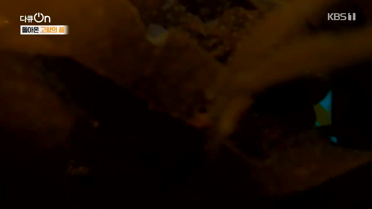 다큐 온.E209.230806p-NEXT.mp4_20230806_171246.270.jpg