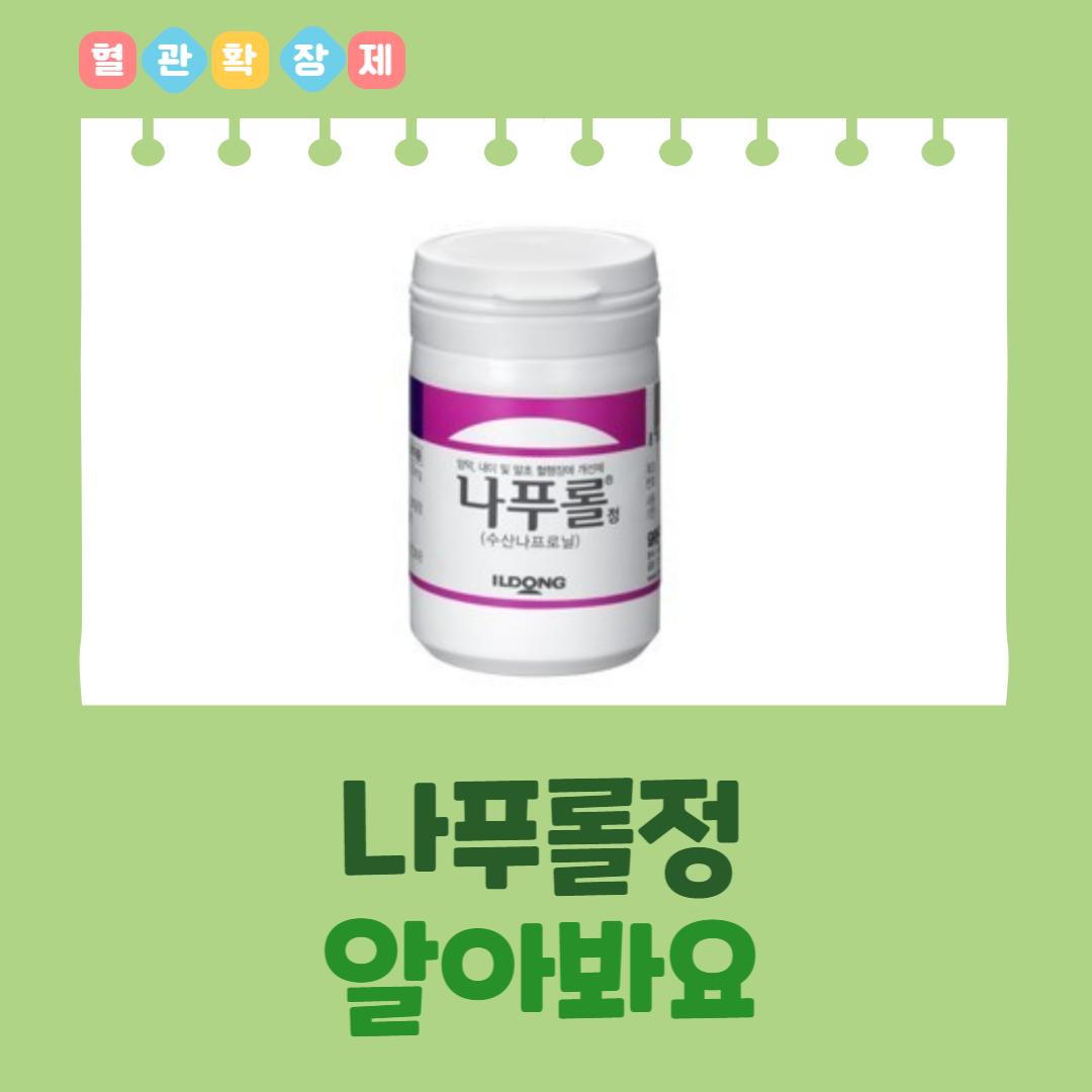  나푸롤정 성분정보 효능효과 용법용량 주의사항 부작용 등 알아봐요