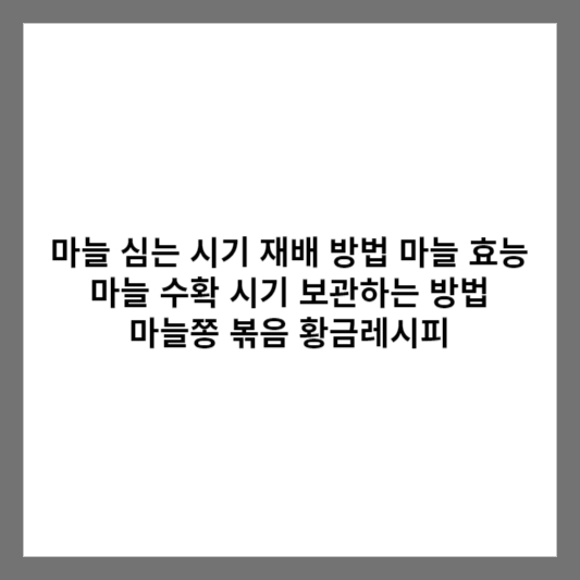 마늘 심는 시기 재배 방법 마늘 효능 마늘 수확 시기 보관하는 방법 / 마늘쫑 볶음 황금레시피