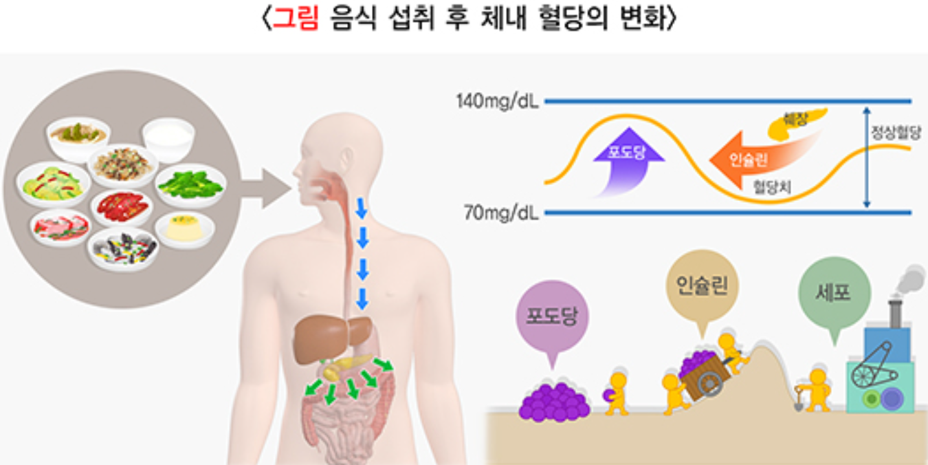 당뇨병