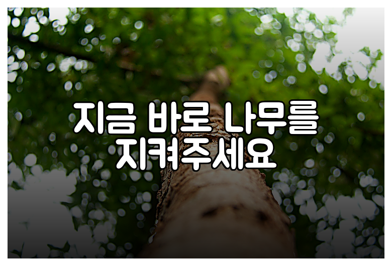 지금 바로 나무를 지켜주세요