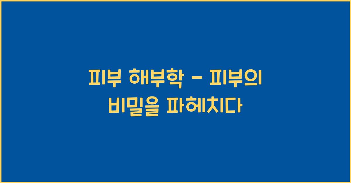 피부 해부학