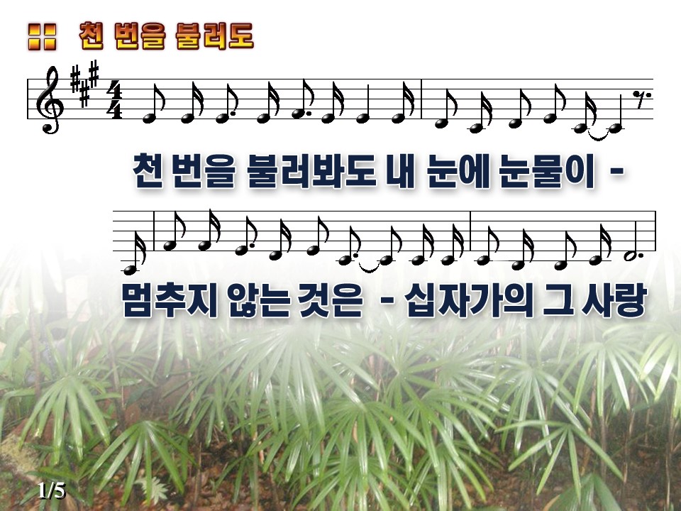 천번을 불러도(천번을 불러봐도) PPT