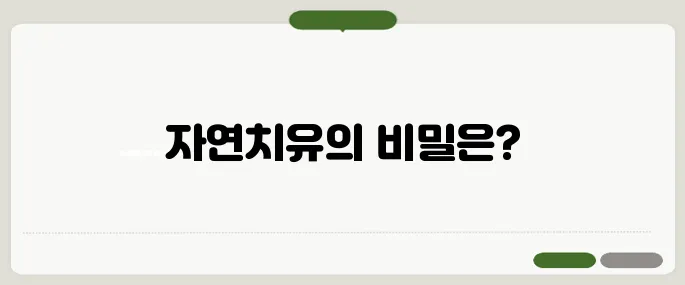 치주농양 자연치유: 효과적인 방법과 주의사항