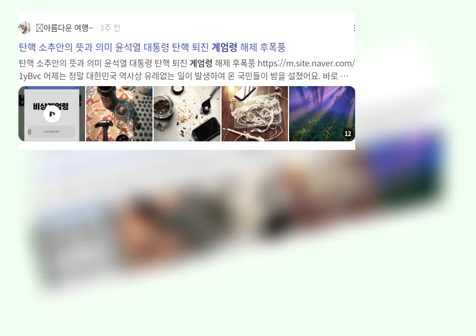 계엄령_2_subsection