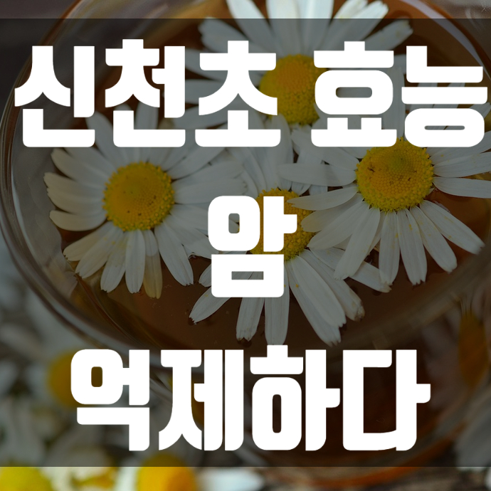  신천초 효능 암을 억제하다