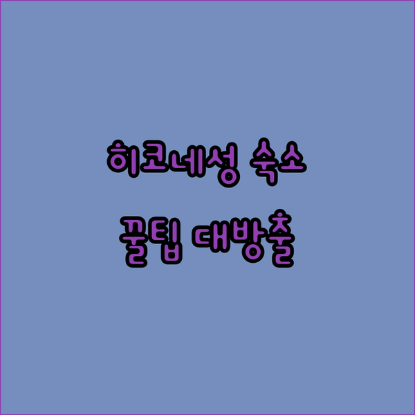 히코네 성 근처 숙소 추천 놓치면 후