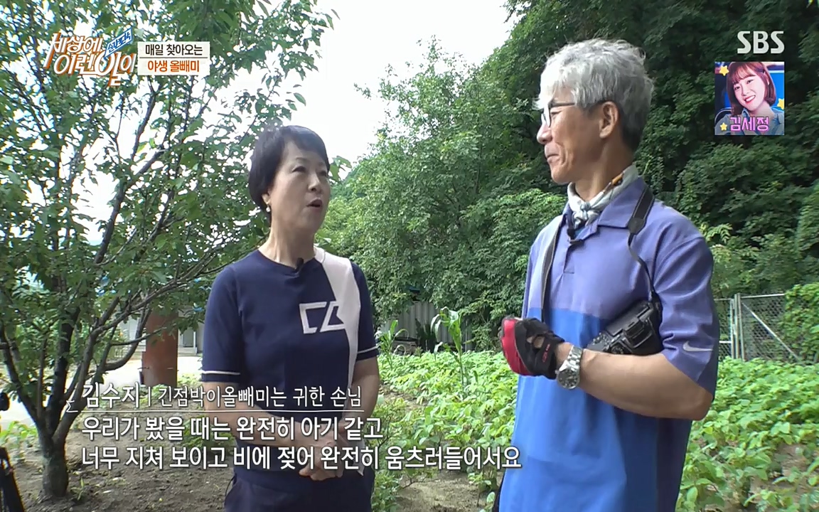 순간포착 세상에 이런일이.E1189.220720p-NEXT.mp4_20220720_200922.135.jpg