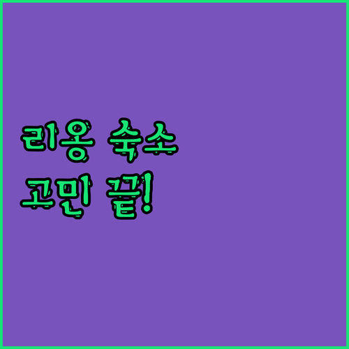 리옹 숙소 고민 끝 여행 스타일별 맞