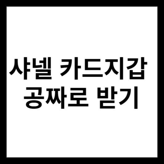 샤넬 카드 지갑 공짜로 받는 방법