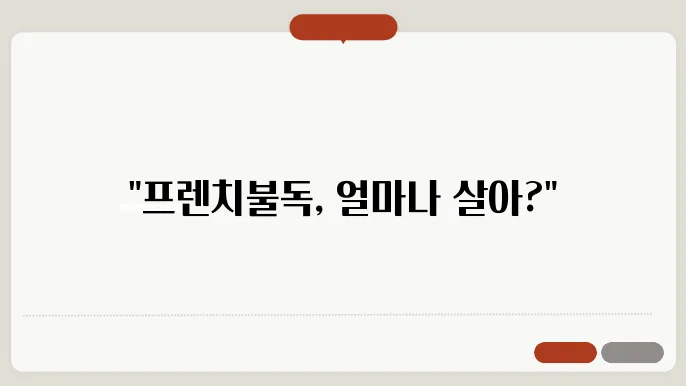 프렌쳥8불독수명 알아보기