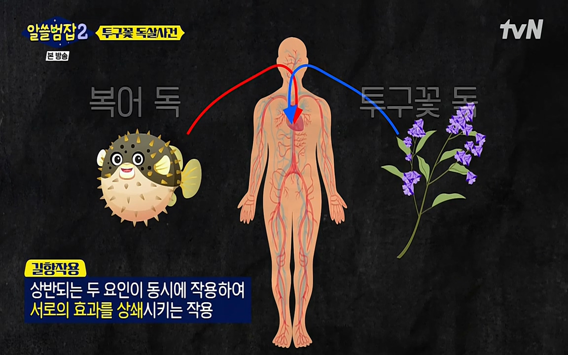 알쓸범잡 2.E15.220425p-NEXT.mp4_20220425_180715.499.jpg