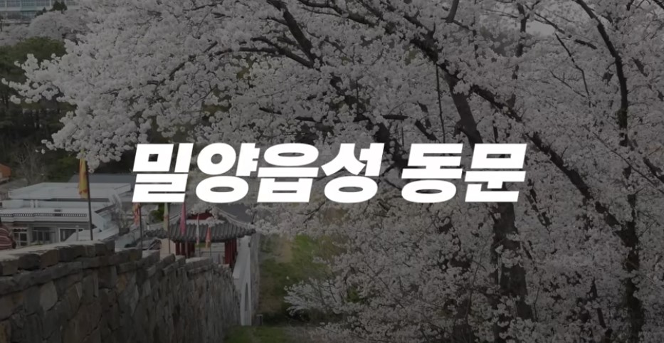 남도 여행지