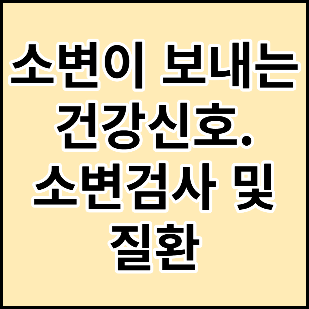  [소변으로 보는 건강신호]소변거품 및 소변검사 그로인한 질환