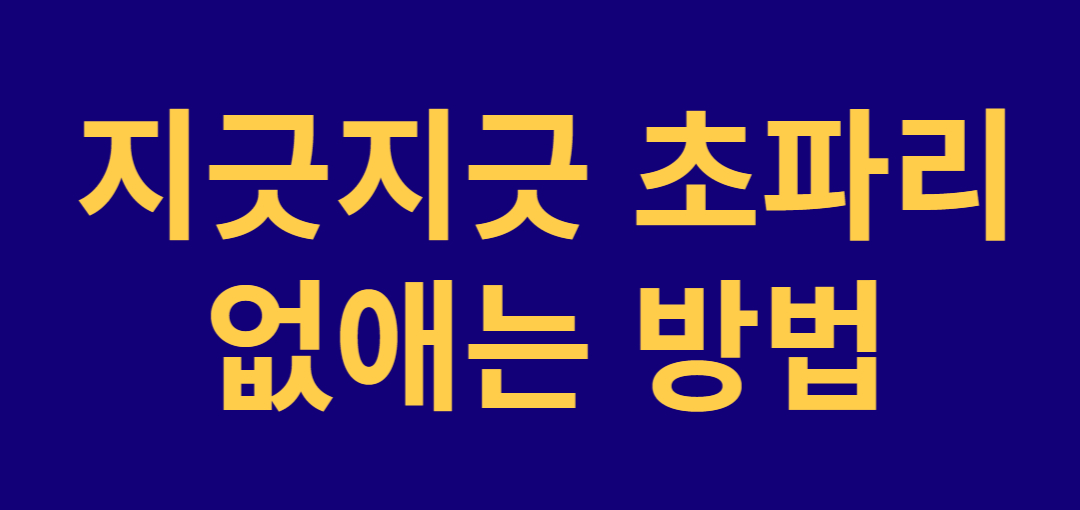  초파리 생기는 이유 및 없애는 방법 6가지