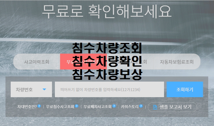  노다지네 잡학다식