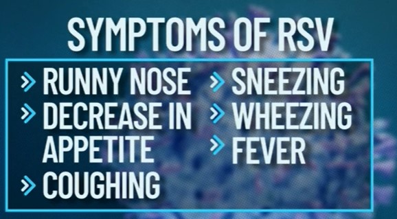 RSV vaccine