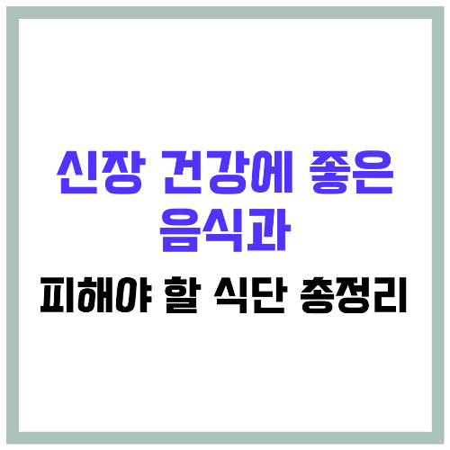 신장 건강에 좋은 음식과 피해야 할 식단 총정리 🏥