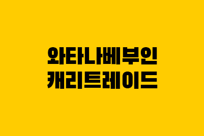 캐리 트레이드란? 와타나베 부인 뜻 정리