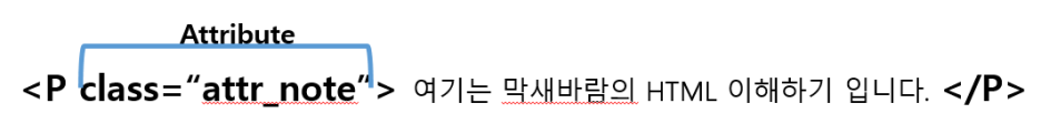  [HTML 강좌] 5. HTML의 기본 구조 - Element(요소)의 속성(Attributes)