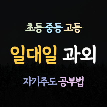  춘천 동면 수학과외 장학리 영어과외 고등 내신 중등 초등 국어과외 중학생 예비중 예비고