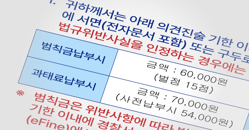 벌금 납부와 과태료 납부의 차이를 나타낸 표