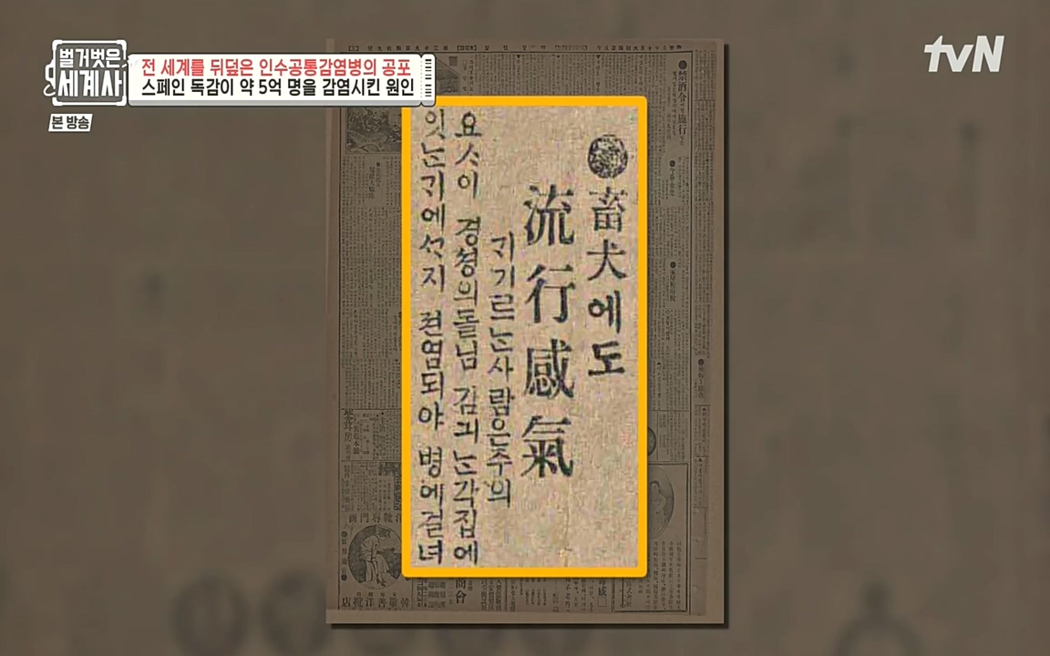 벌거벗은 세계사.E59.220810p-NEXT.mp4_20220810_212425.640.jpg