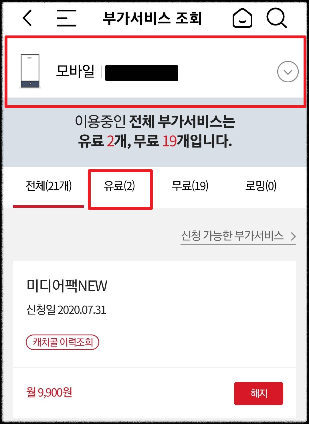 사용중인 부가서비스