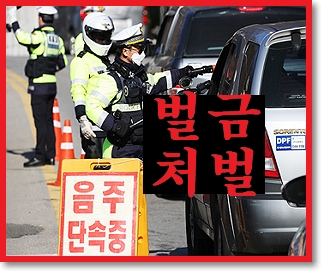  음주운전 벌금 처벌기준 진행과정 ( 면허취소 간단정리 )