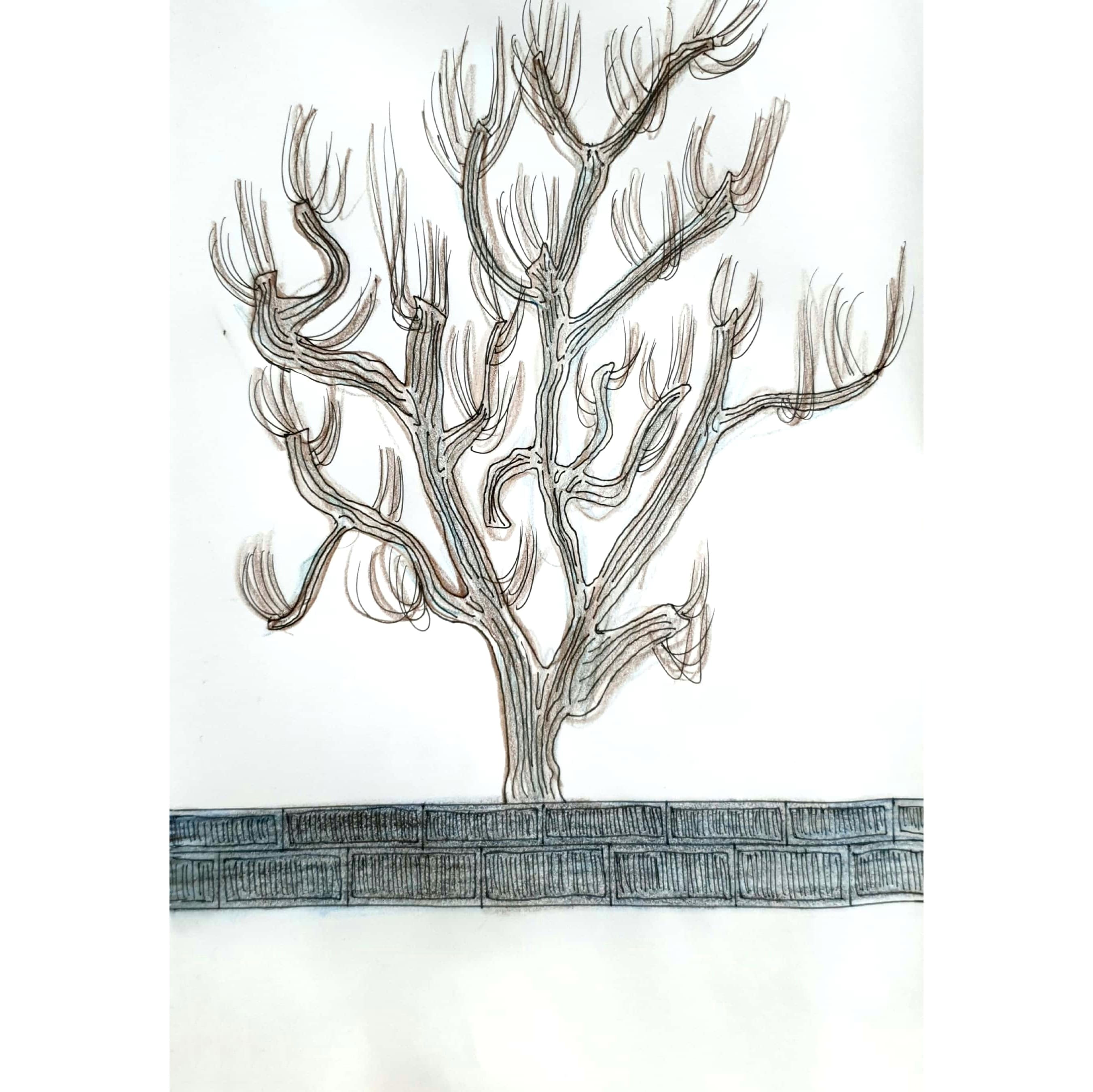  Tree 나무 / 일러스트 그림 드로잉 / 식물화 그리기