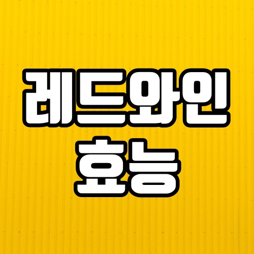  레드와인 효능 BEST 6 함께 알아볼까요?