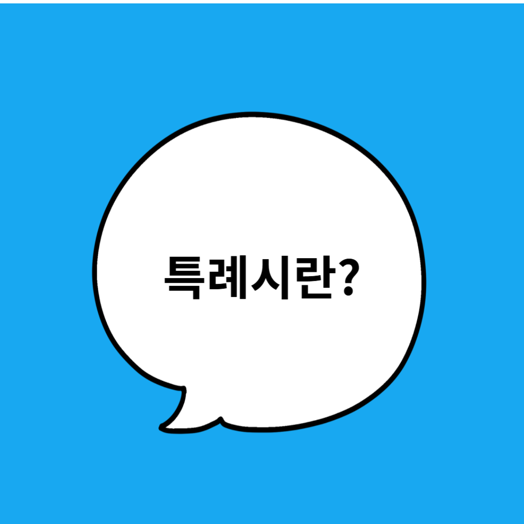 특례시란