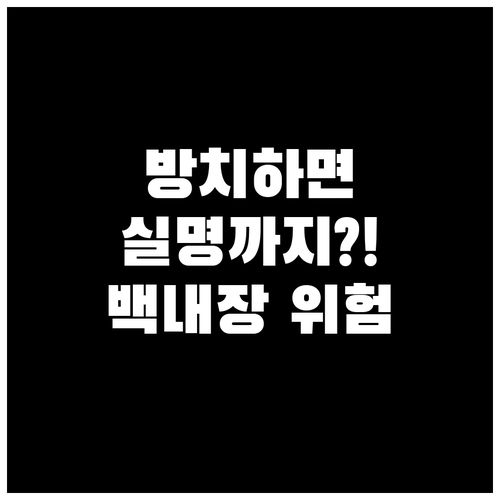 백내장 방치 시 최악의 결과는? 시력