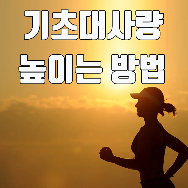 기초대사량이란? 기초대사량 높이는 방법 4가지 기초대사량이란? 기초대사량 높이는 방법 4가지