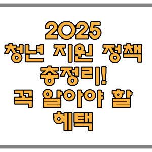 2025 청년 지원 정책 총정리! 꼭 알아야 할 혜택