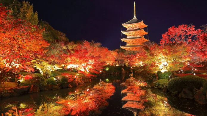 교토의 가을, 세계 문화 유산인 도지 오층탑(東寺五重の塔)