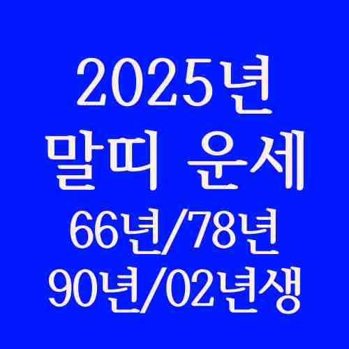2025년-말띠-운세-재물운-직장운-애정운-내용-정리