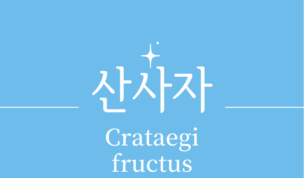 &#39;산사자(Crataegi fructus)&#39;