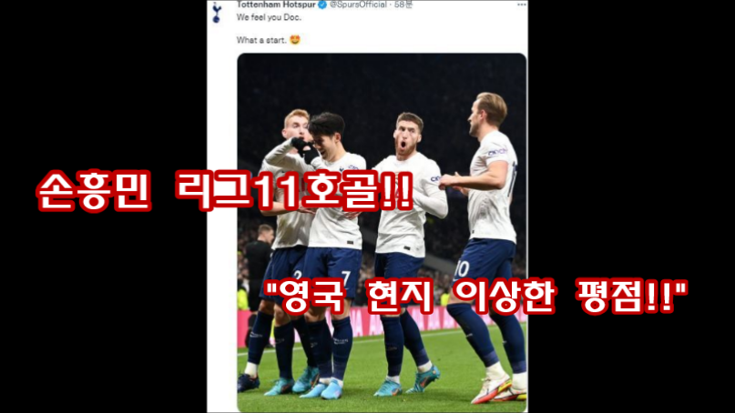  손흥민 선수 리그11호골 작렬!