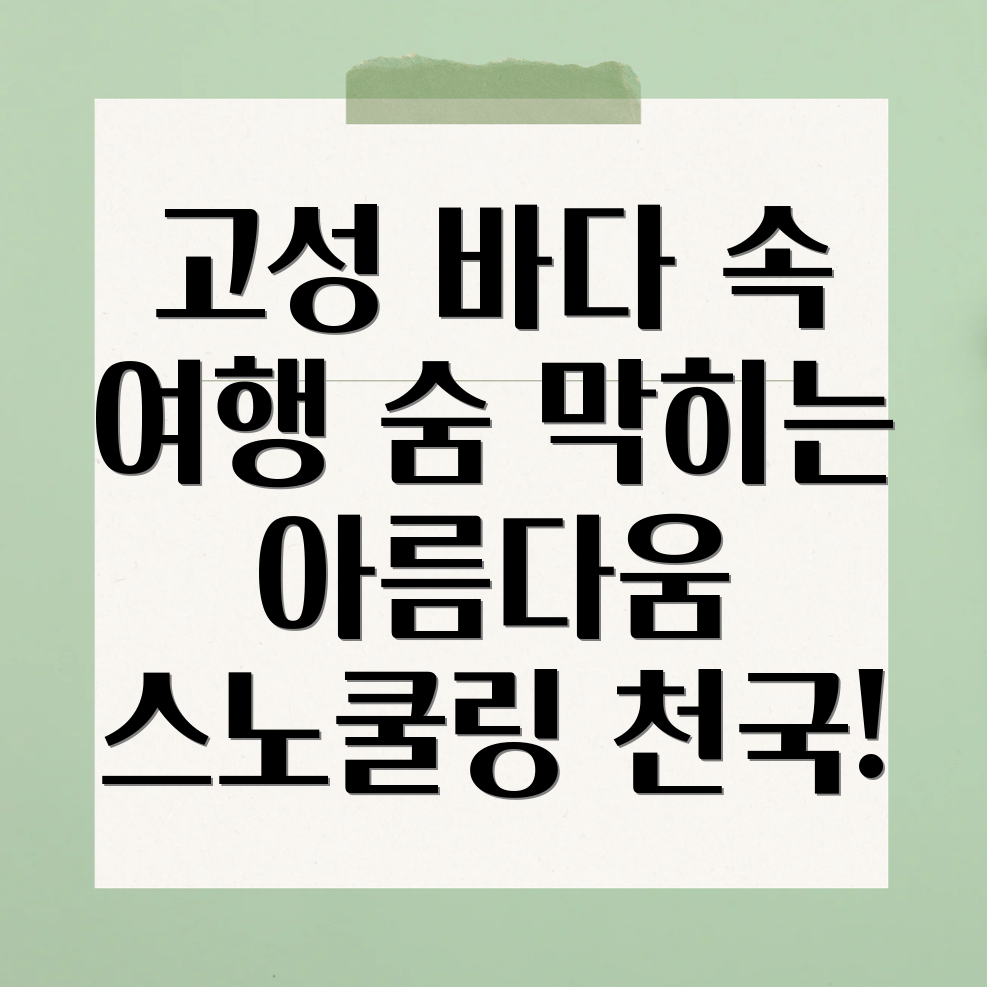 강원도 고성 스노쿨링