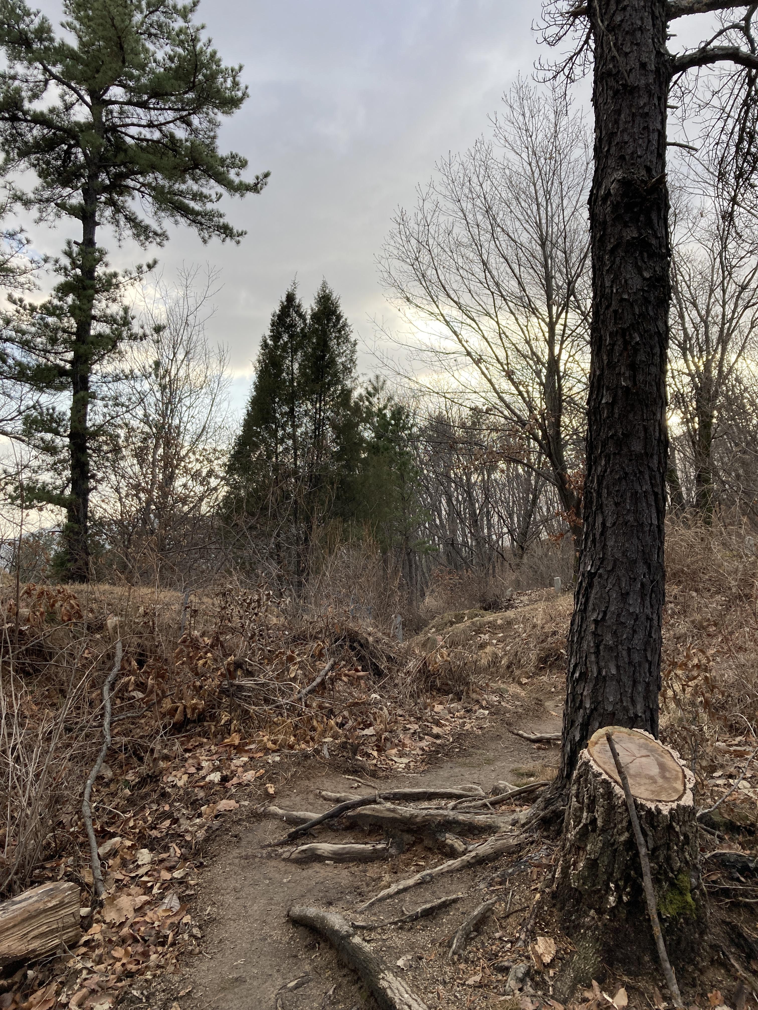 시원하고 바삭바삭 8